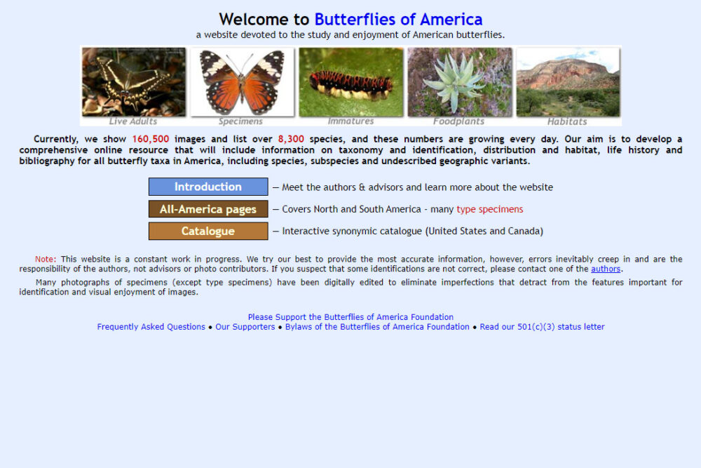 butterflies of america