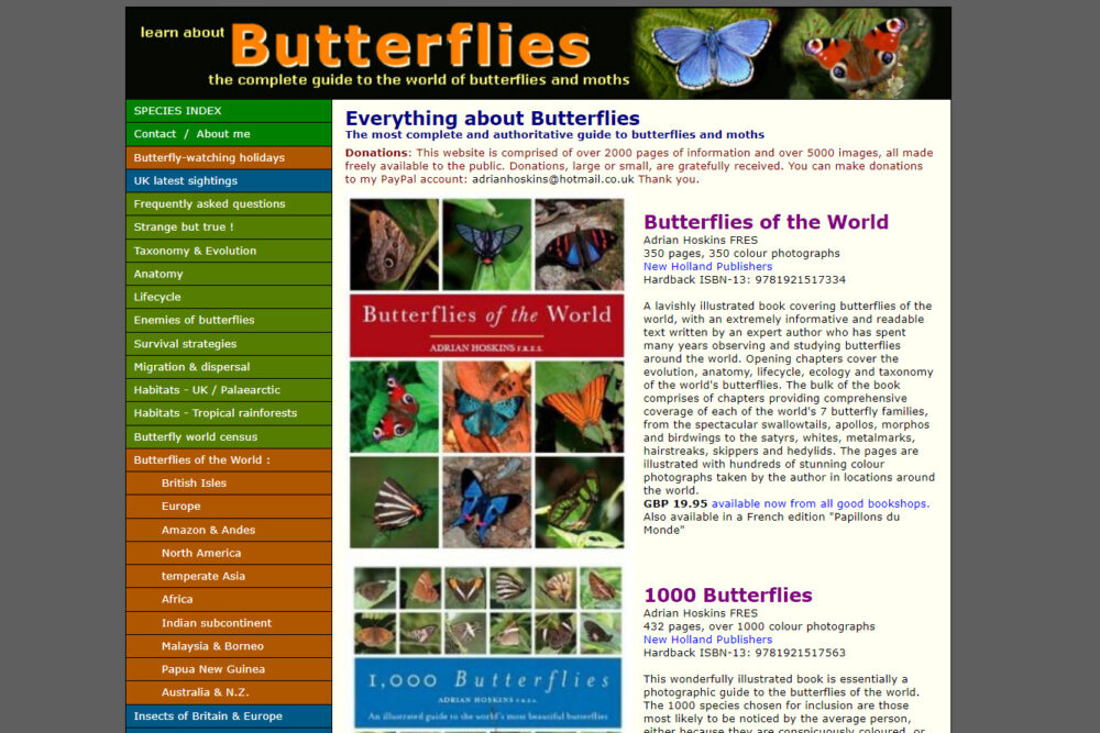 learnaboutbutterflies