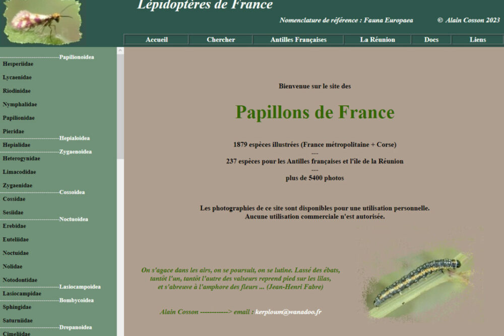 Lepidoptères de France